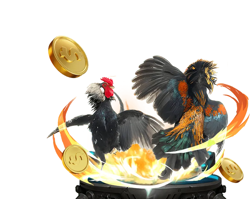 Biểu đồ và dữ liệu phân tích kèo đá gà